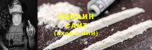 прущие грибы Алзамай