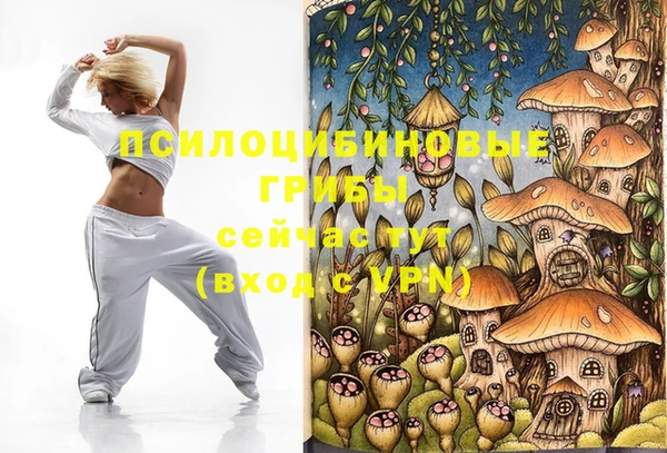 прущие грибы Алзамай