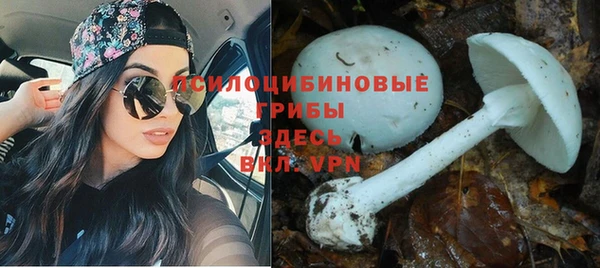 кокаин колумбия Алексин