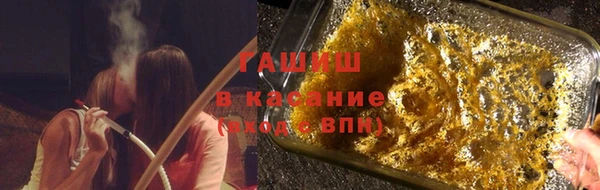 прущие грибы Алзамай