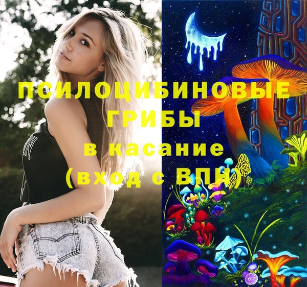 синтетический гашиш Алексеевка